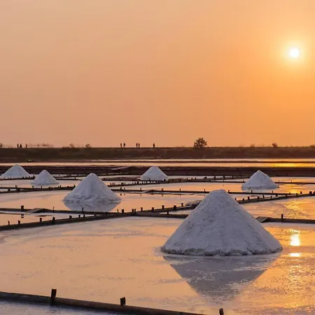 Sal, Terra E Mar Aveiro
