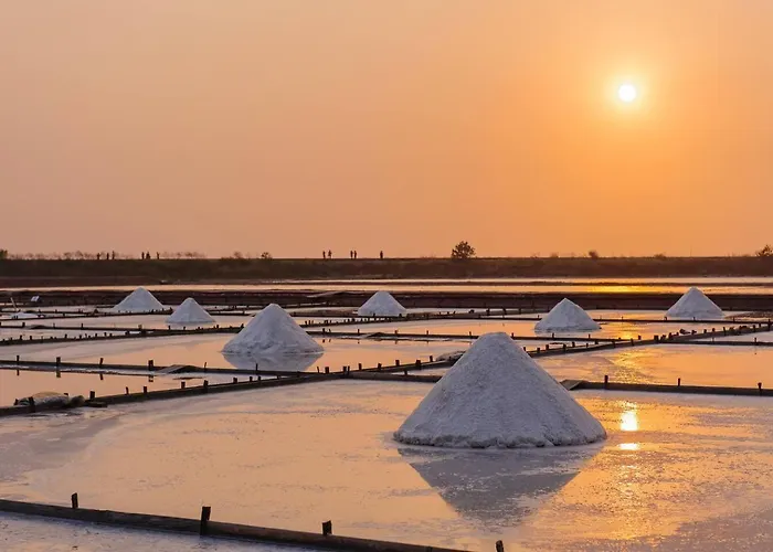 Sal, Terra E Mar Aveiro